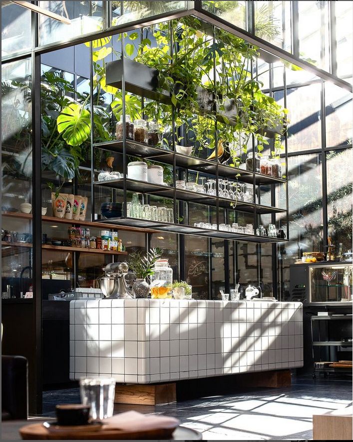 Knoblauch Some Fotor