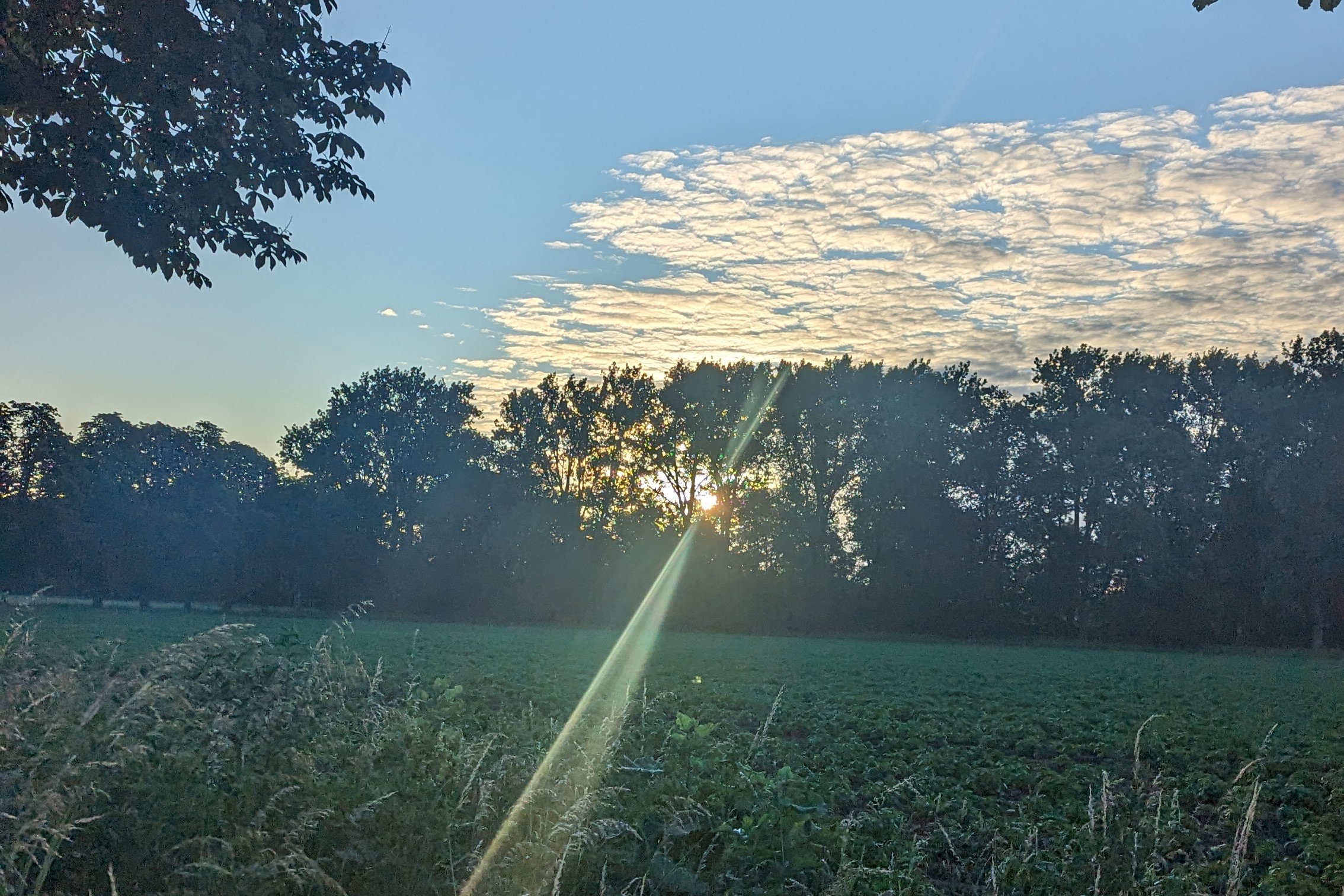 Morning Run Löhne2