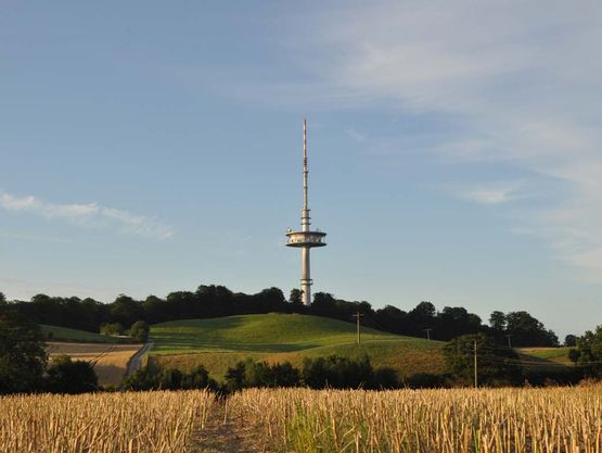 csm bungsberg bb3955fd3a